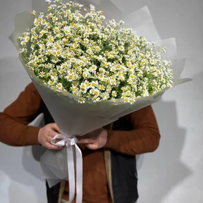 Полевой букетик из детства, таранцетум 50 шт