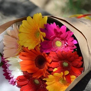 Букет разноцветных гербер