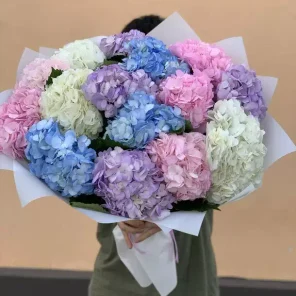 Монобукет из гортензии 50см 15шт