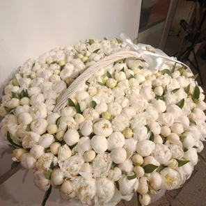 Корзина из 251 пиона