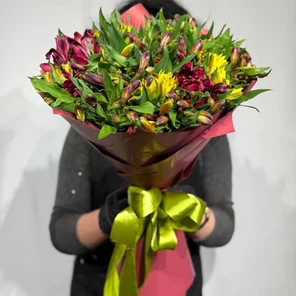 Пестрая альстромерия. 41 шт