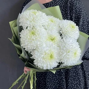 Монобукет из хризантемы Магнум 50см 7шт