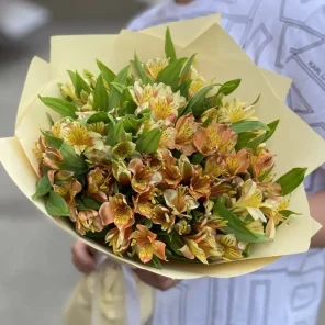 Букет из 25 оранжевых альстромерий
