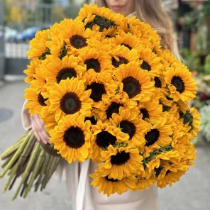 101 Подсолнух